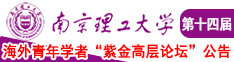 操欧美肥比南京理工大学第十四届海外青年学者紫金论坛诚邀海内外英才！